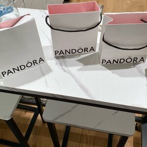 Pandora bags for sale 4.00 each bag if you purchase all three